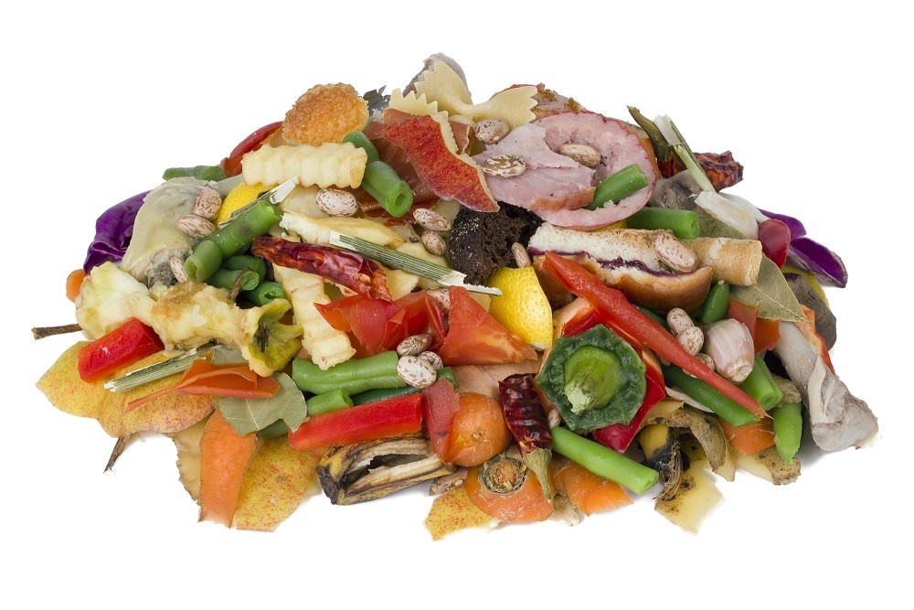 The NHF’s “Low Tyramine Headache Diet”