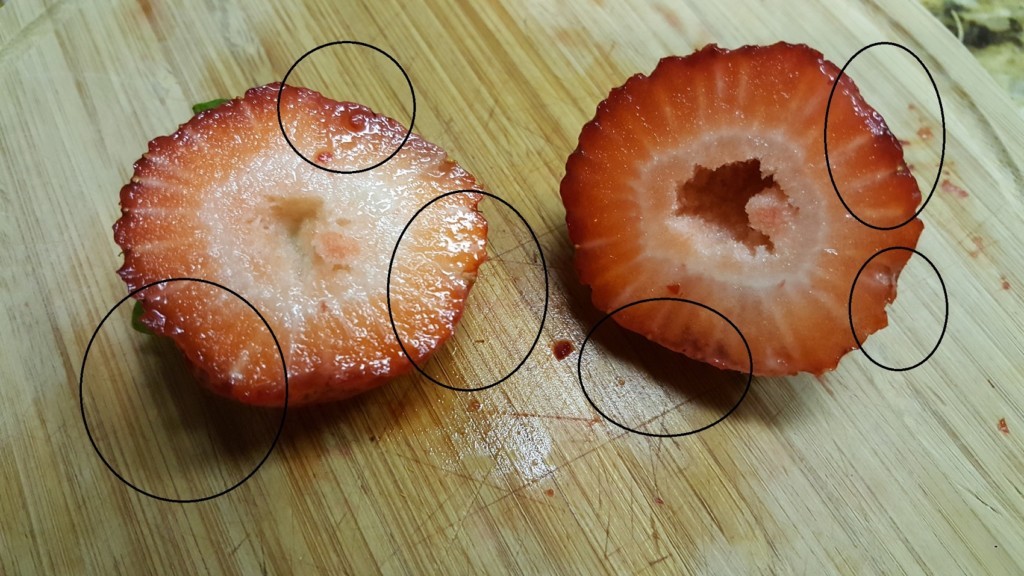 Strawberries Migraine Trigger Living with Migraines