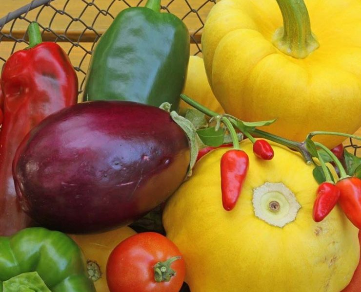 nightshades migraine trigger