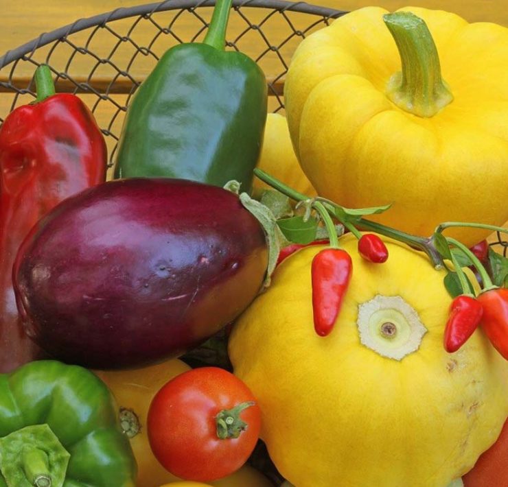 nightshades migraine trigger