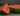 POSTS-closeup-watermelon