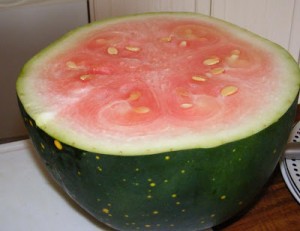 Watermelon that is unripe