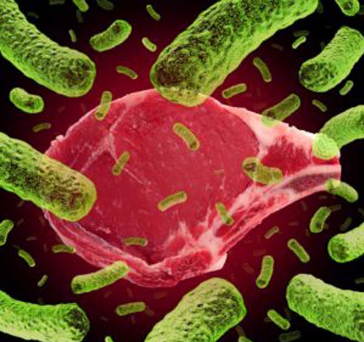 Biogenic Amines Form Naturally As Food Ages And Breaks Down