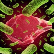 POSTS-biogenic-amines