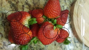 Bunch of Strawberries Not So Fresh Strawberries